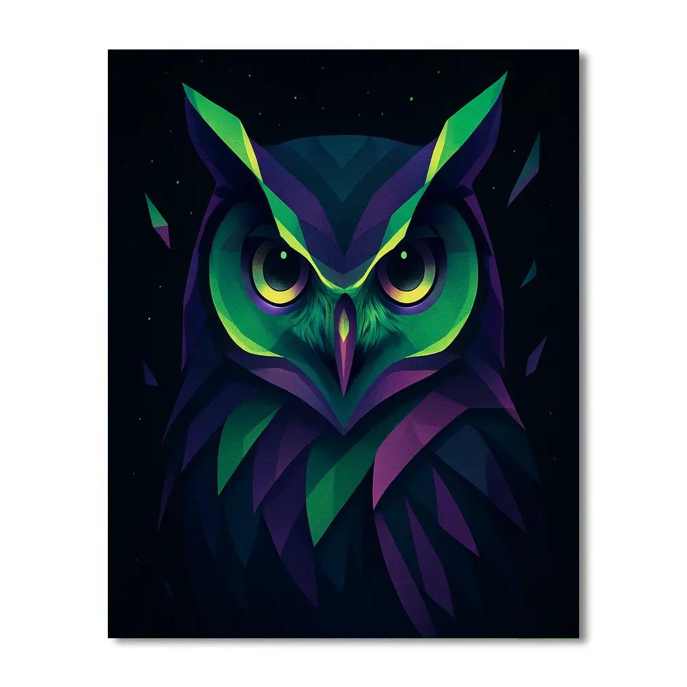 Midnight Owl Prism painting number kit