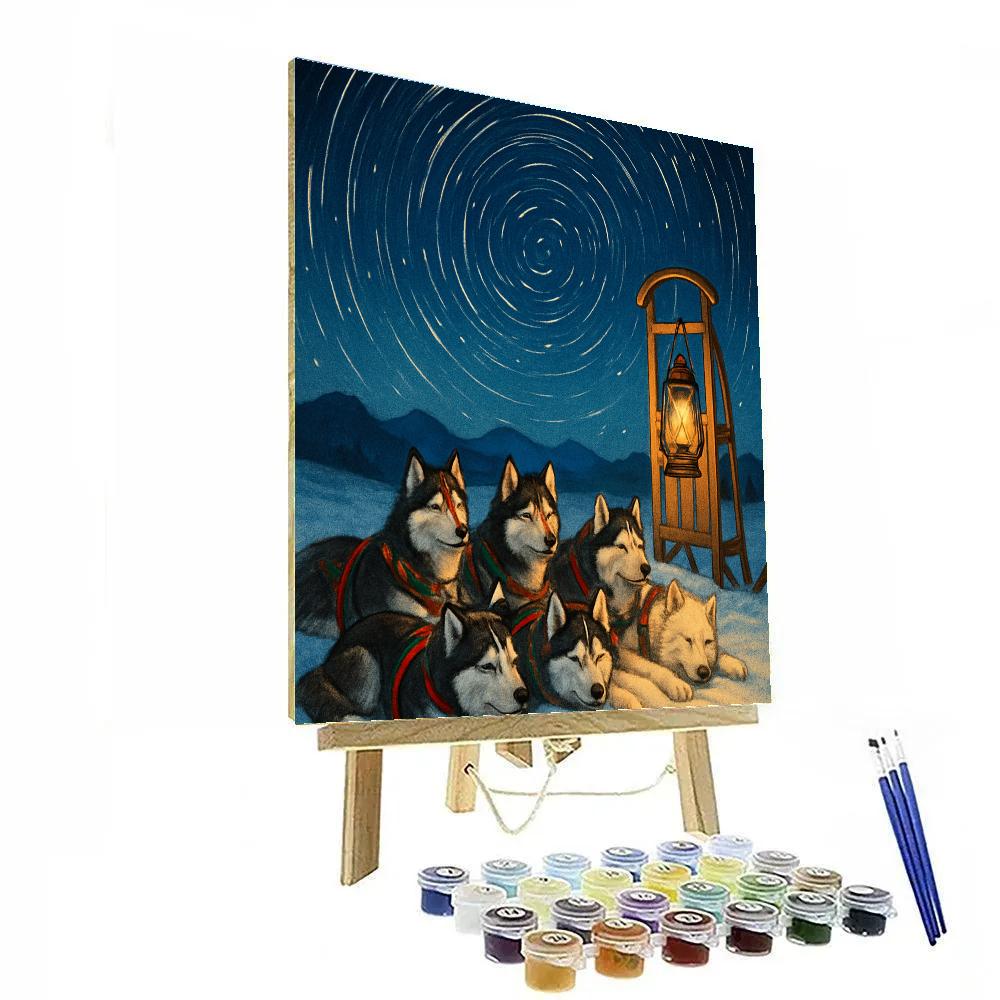 Christmas Sled Dogs Under Star Trail Sky Paint by numbers art