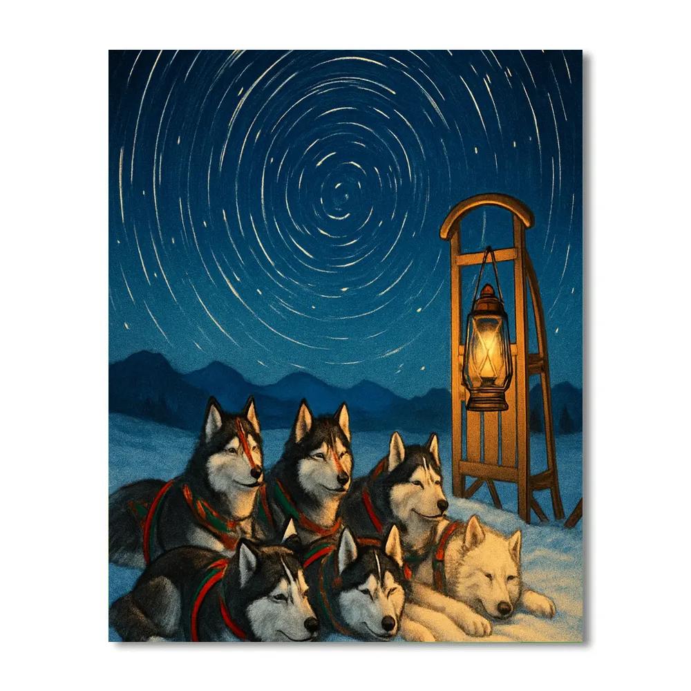 Christmas Sled Dogs Under Star Trail Sky Paint by numbers art