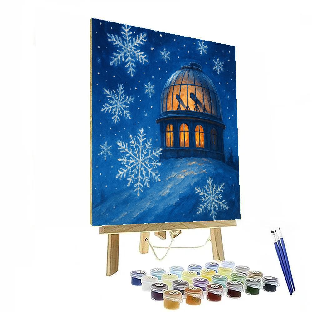 Snowflake Observatory On The Hill painting number kit
