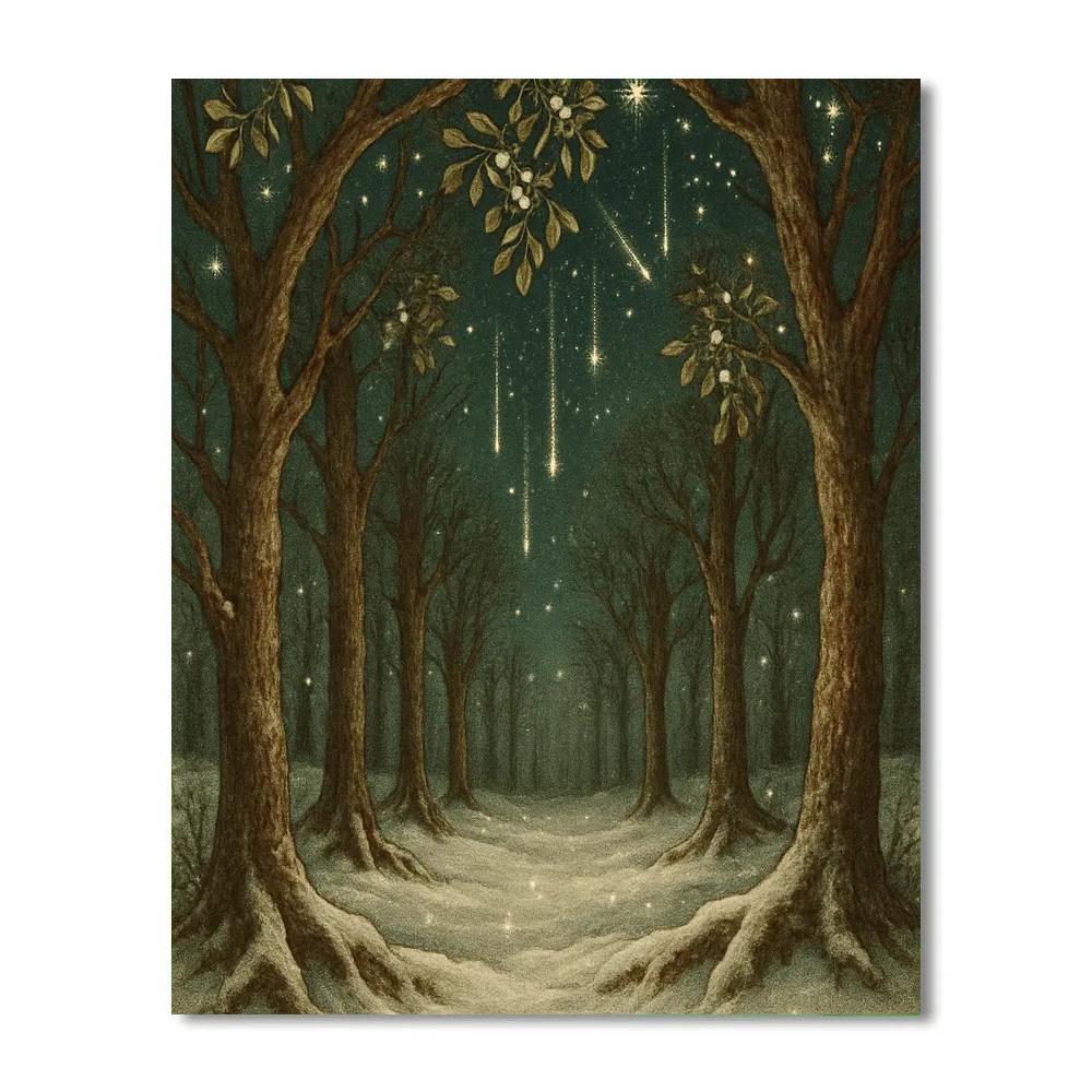 Meteor Shower Mistletoe Grove DIY paint by numbers