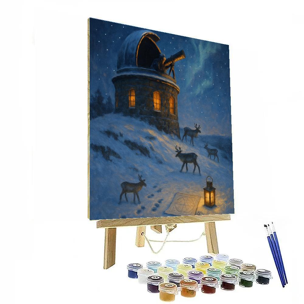 Snowy Reindeer Observatory On The Hill Paint by numbers kits