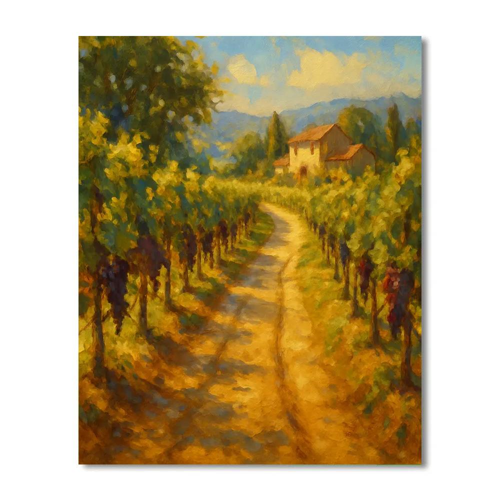 Sunlit Vineyard Lane paint by number