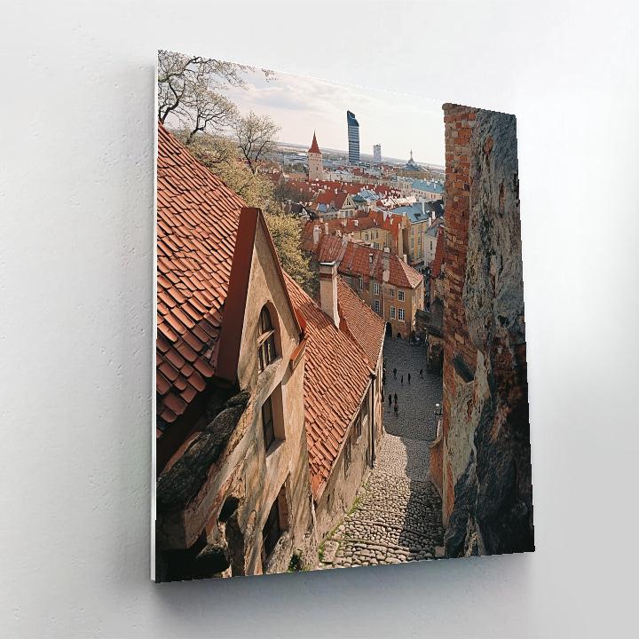 Rooftop View Over Old Town Tallinn Estonia Number painting