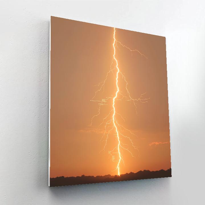 Leonardo Da Vinci Inspired Lightning Branch Diagram Painting by numbers kit