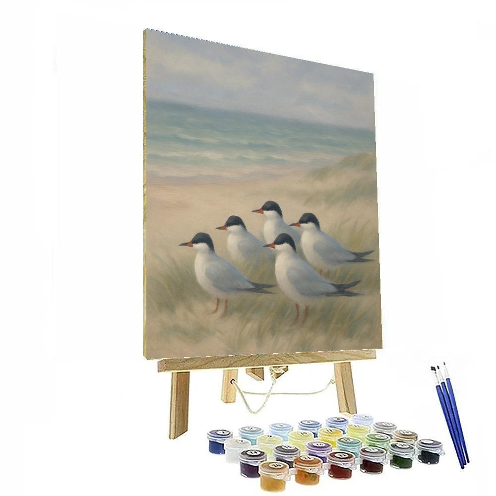 Seaside Dunes Terns In Gentle Breeze Numbered painting kits