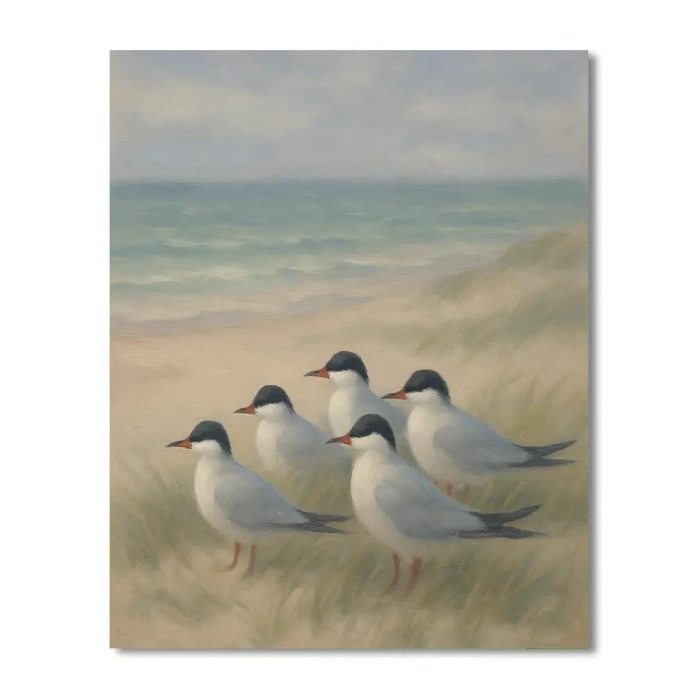Seaside Dunes Terns In Gentle Breeze Numbered painting kits