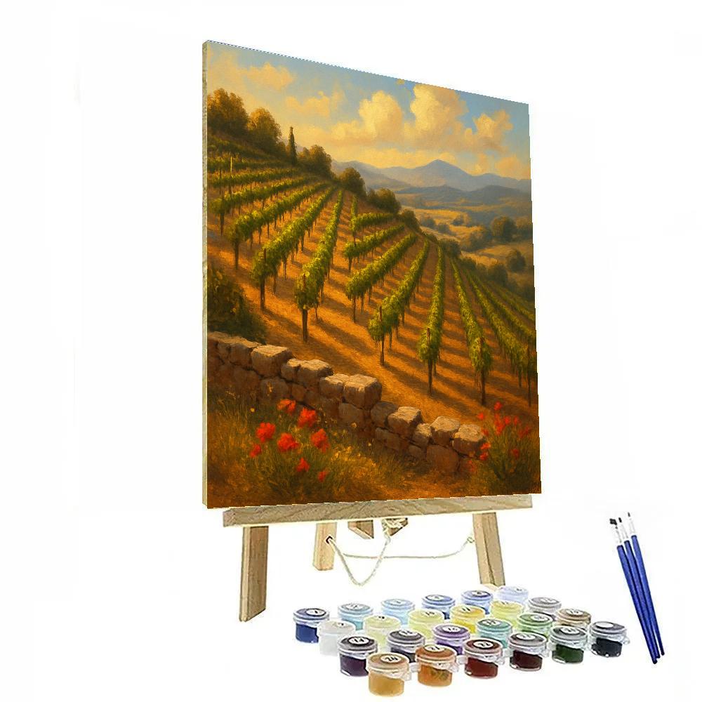 Sunlit Terrace Vineyard Hills Paint by numbers kits
