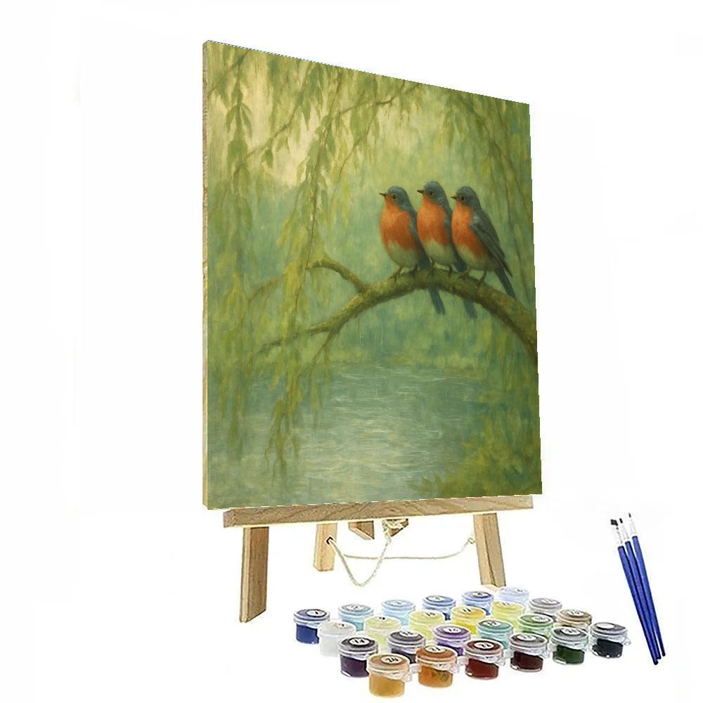 Willow Robins On Rainy Spring Pond Paint by numbers kits