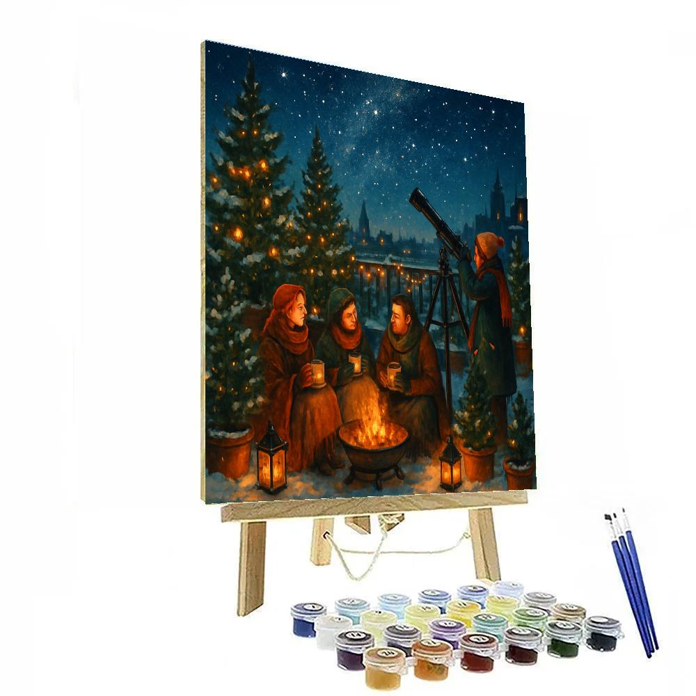 Christmas Stargazing Rooftop Garden Paint by numbers kits