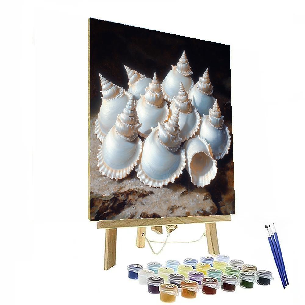 Caravaggio Inspired Lunar Tide Shell Cluster Paint by numbers kits