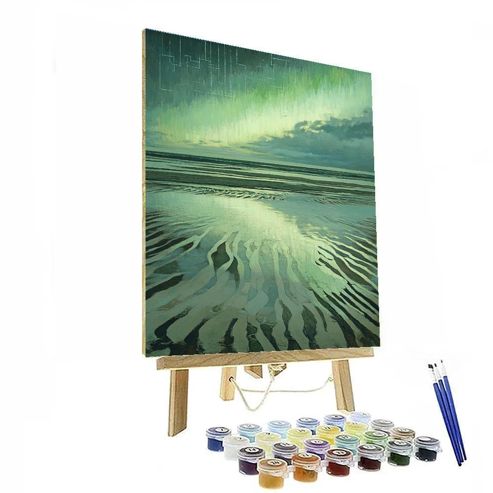 Leonardo Da Vinci Inspired Aurora Over Tidal Flats Paint by numbers art