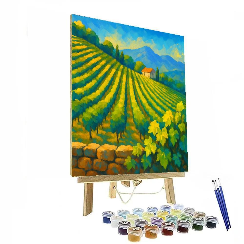 Sunwashed Hillside Vineyard Numbered painting kits