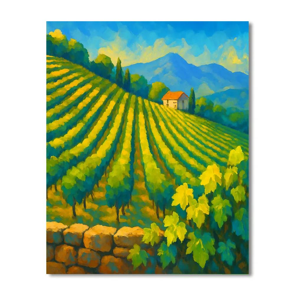 Sunwashed Hillside Vineyard Numbered painting kits
