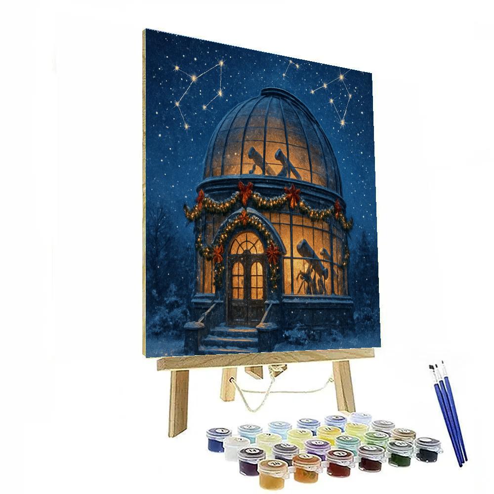 Skylight Observatory Snow Night paint by number