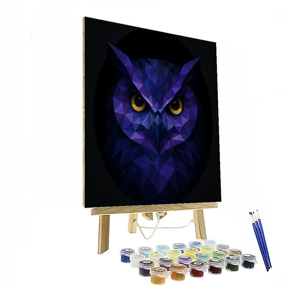 Galactic Owl Crystal Vision DIY paint by numbers