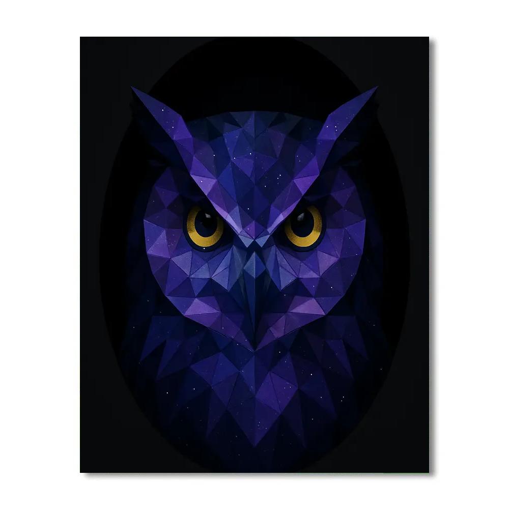 Galactic Owl Crystal Vision DIY paint by numbers