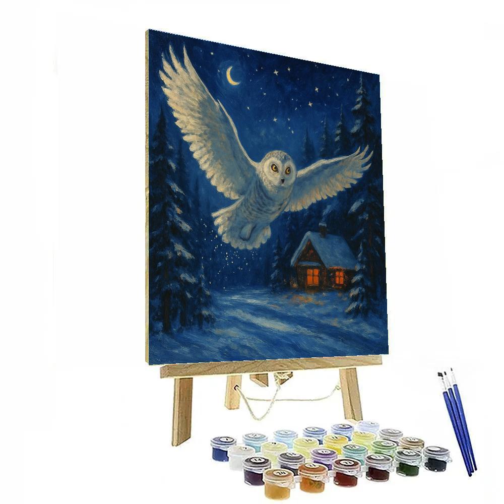 Owl Delivering Winter Wishes Painting by numbers kit
