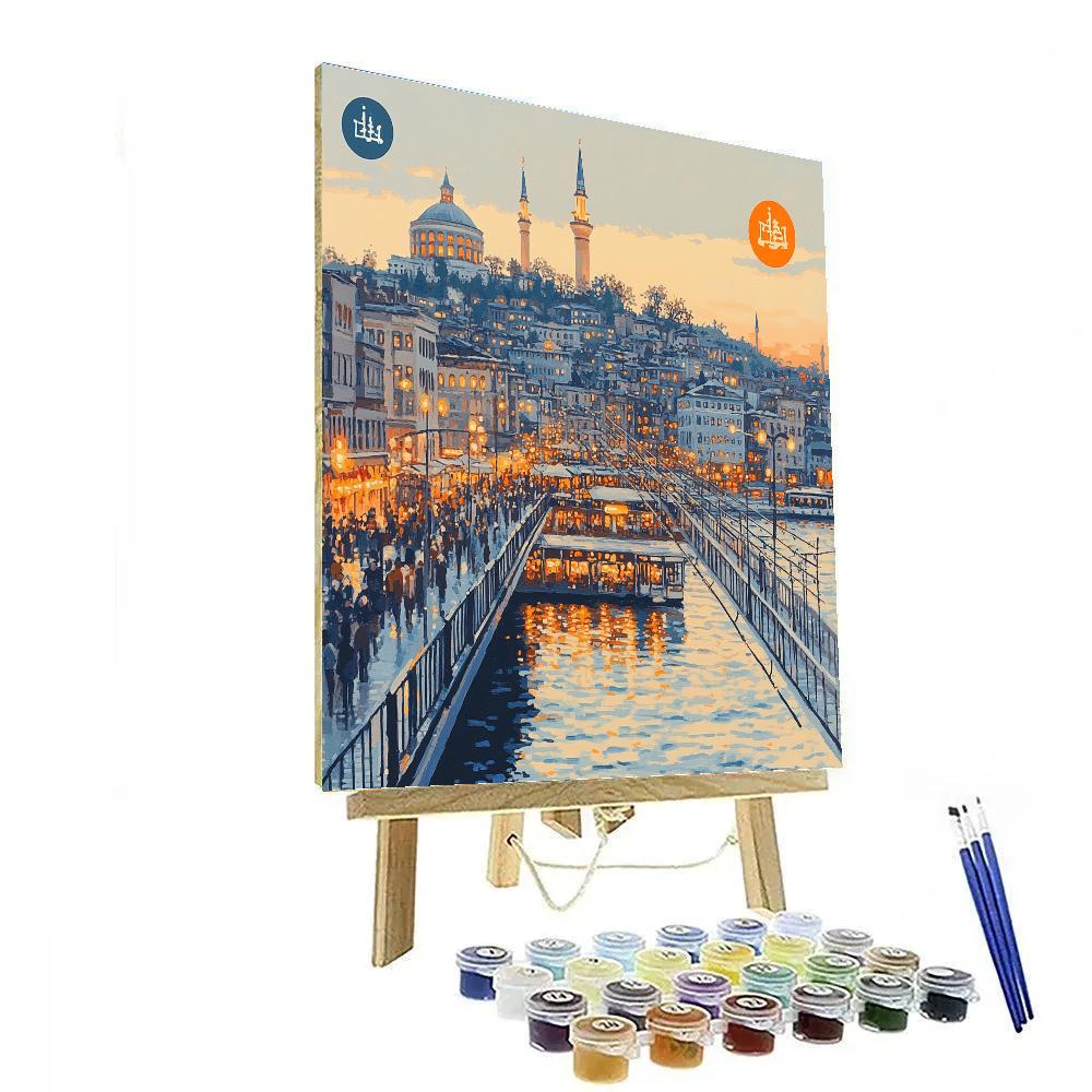 Galata Bridge And Skyline Istanbul Turkiye paint by number