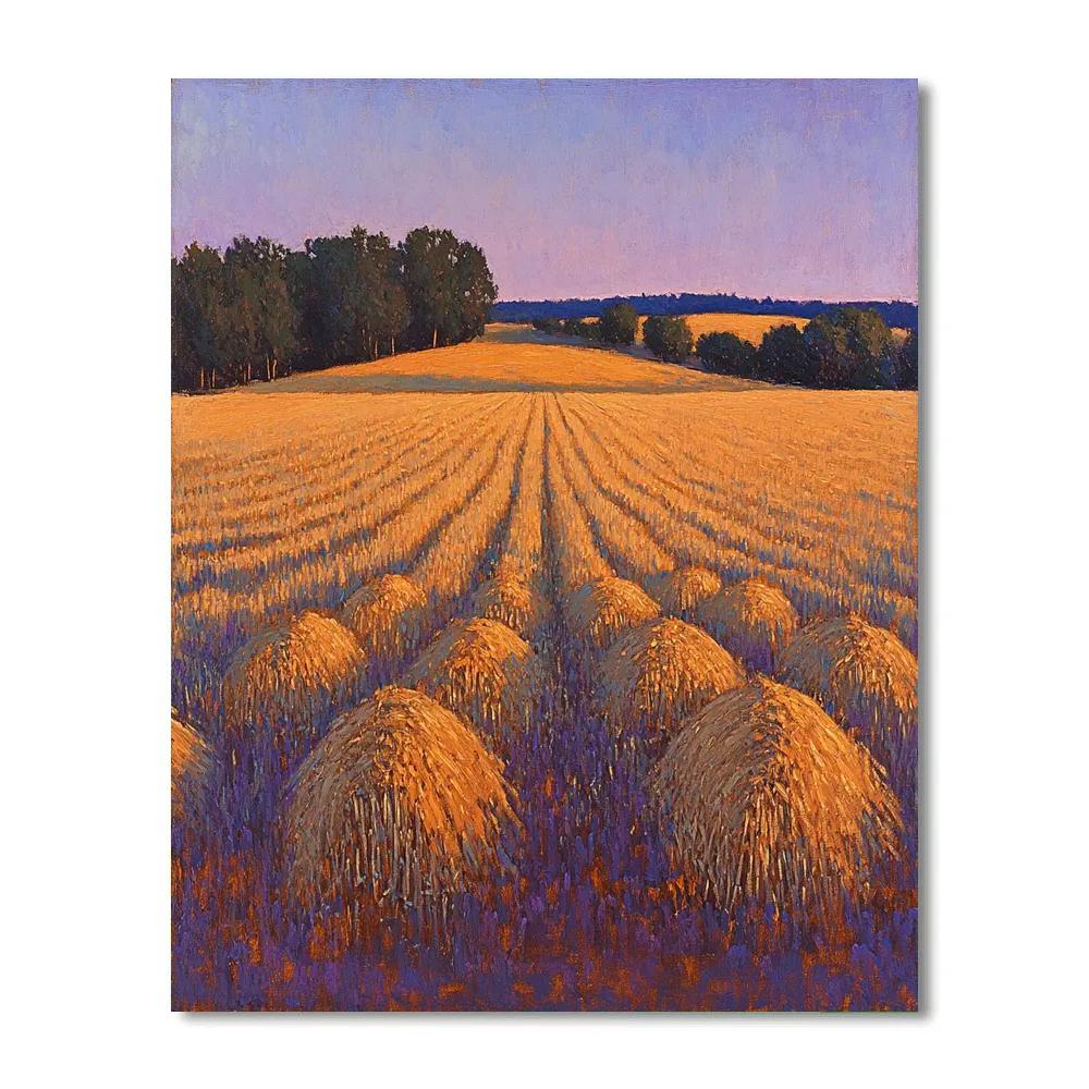 Claude Monet Inspired Amber Harvest Field At Dusk Numbered painting kits