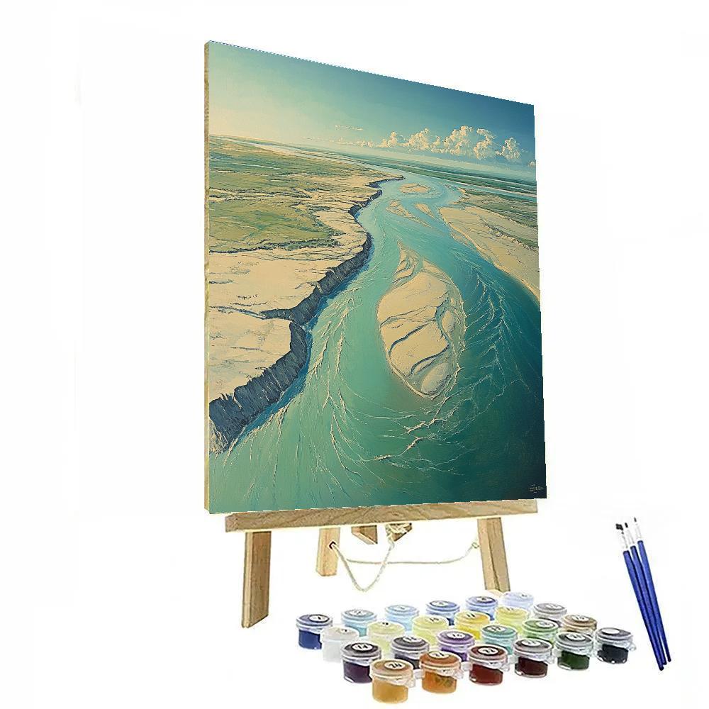 Leonardo Da Vinci Inspired River Delta From Above Number painting