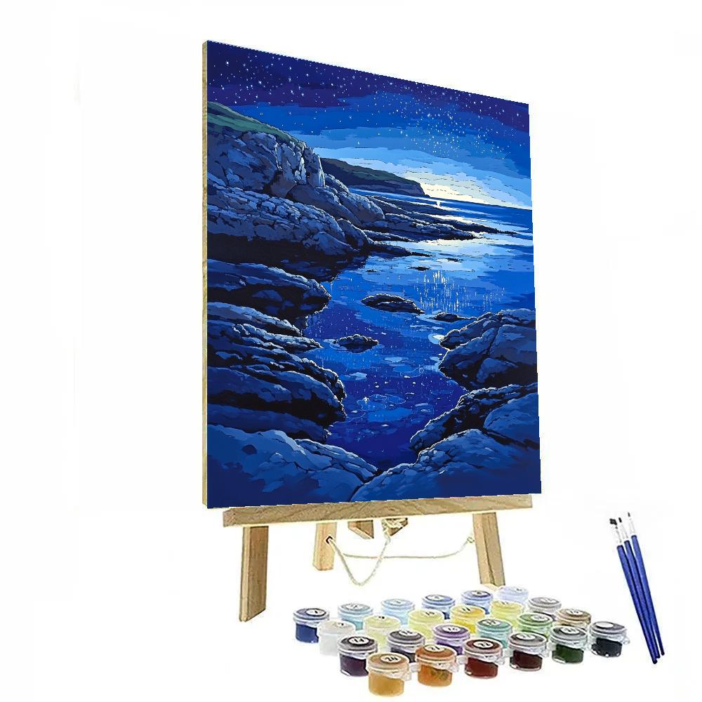 Leonardo Da Vinci Inspired Starlit Tide Pools paint by number