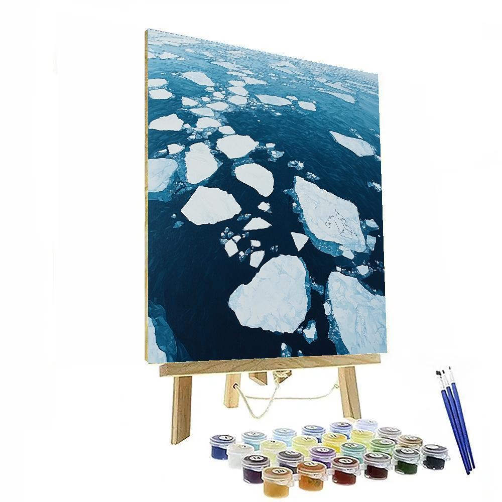 Leonardo Da Vinci Inspired Polar Sea Ice Floes Painting by numbers kit