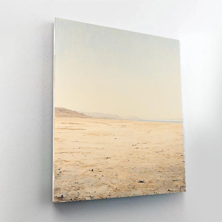 Leonardo Da Vinci Inspired Desert Mirage Plane Paint by numbers kits