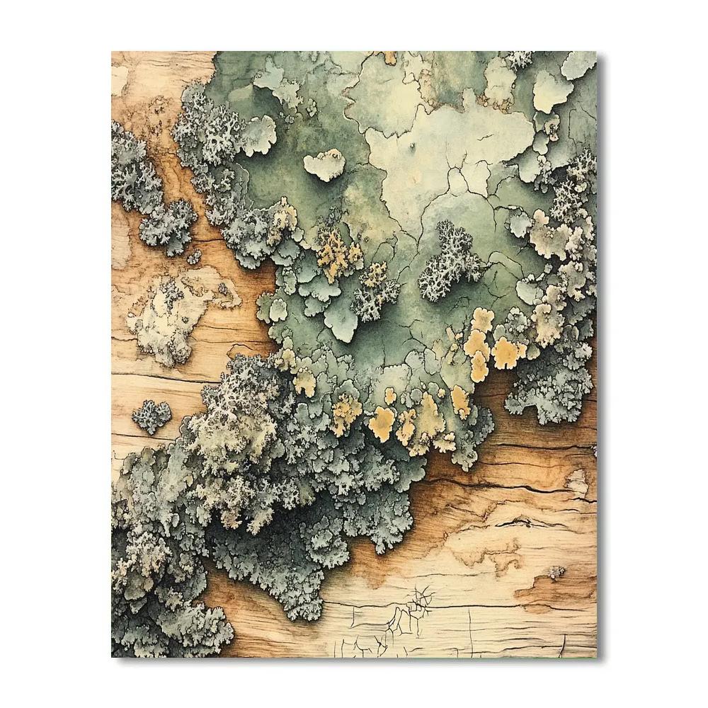 Leonardo Da Vinci Inspired Orchard Lichen Constellations paint by number