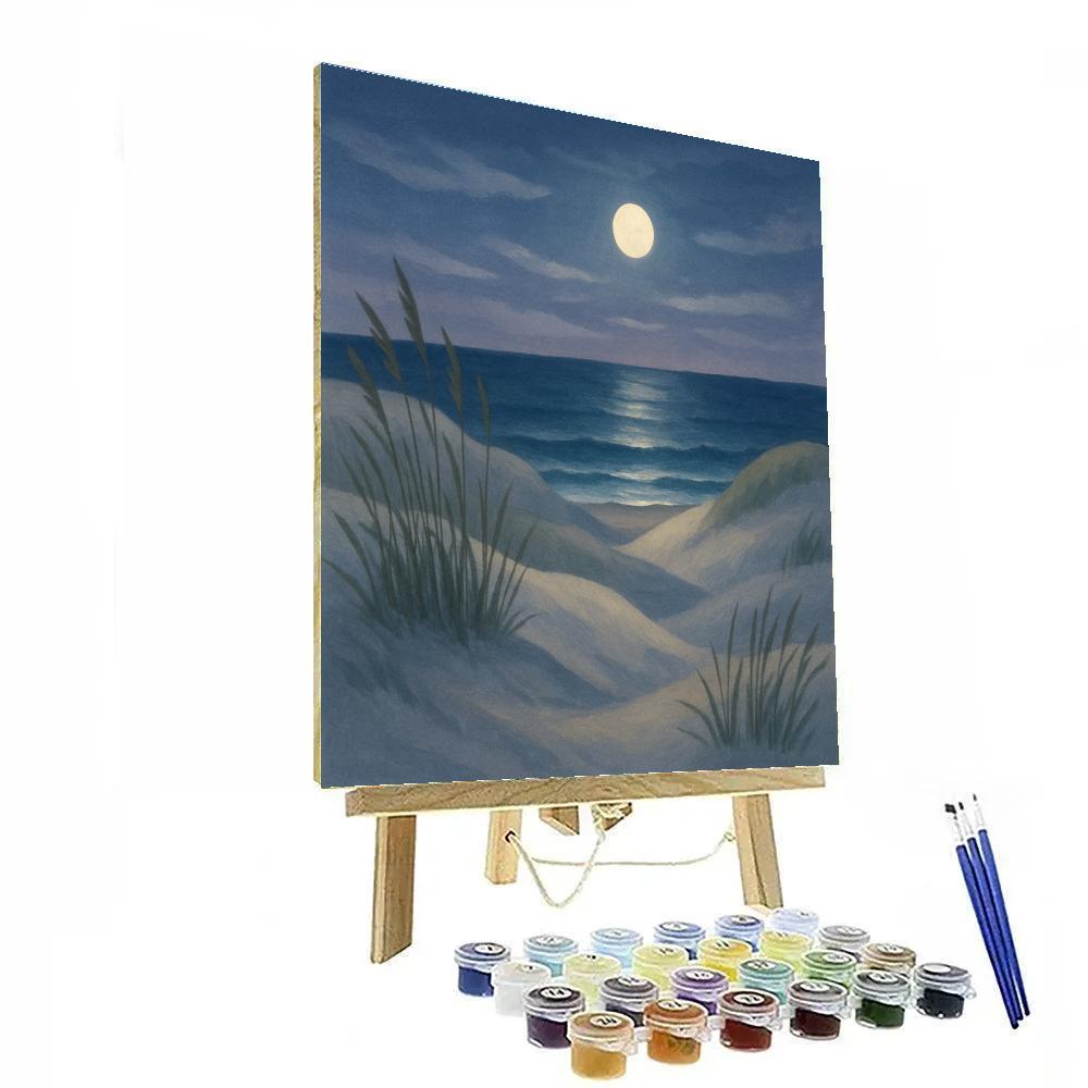 Moonlight Over The Coastal Dunes paint by number