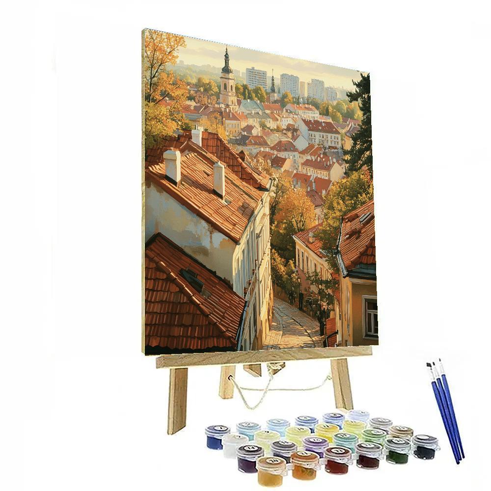 Old Town Rooftops Vilnius Lithuania paint by numbers
