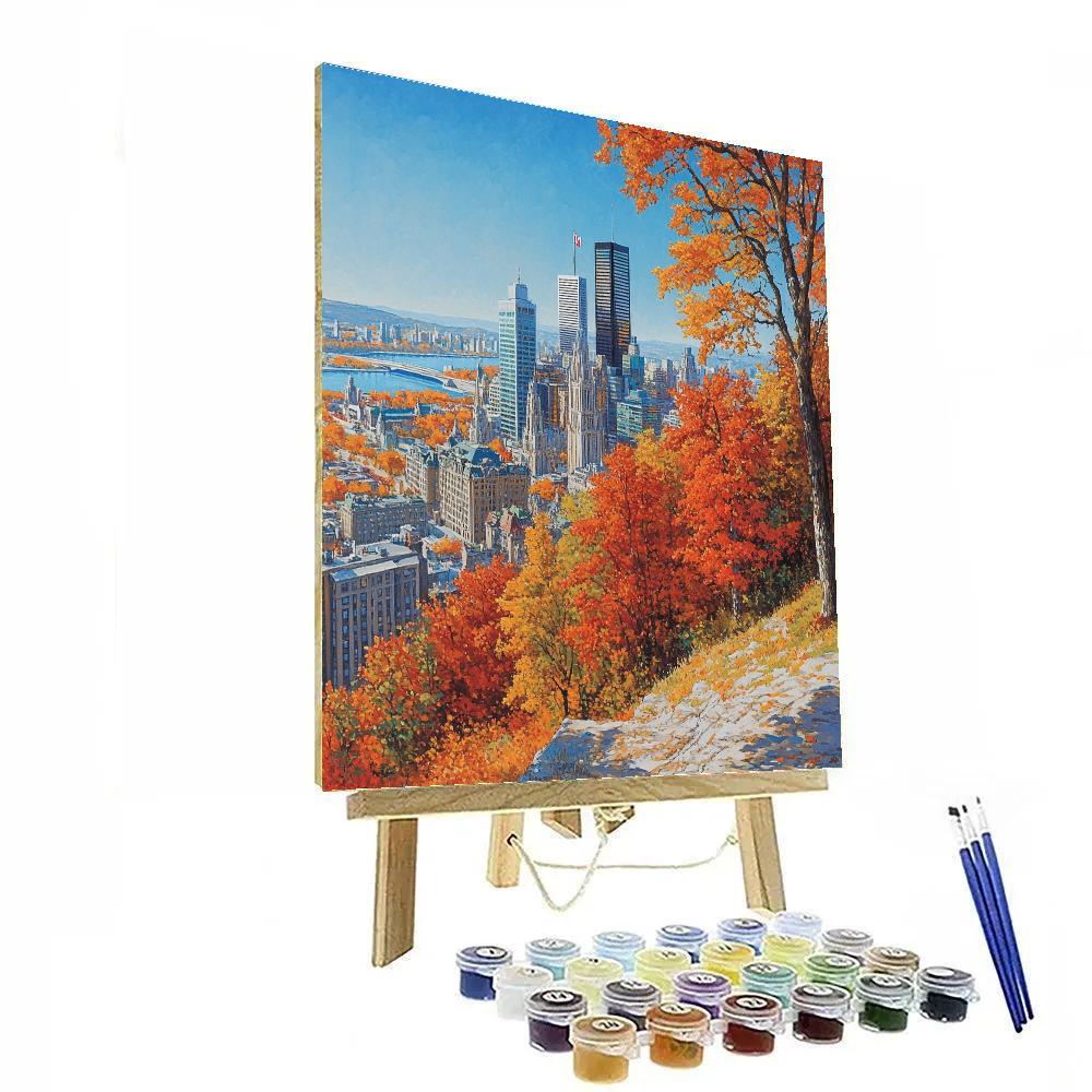 Downtown Skyline From Mount Royal Montreal Canada Paint by numbers kits
