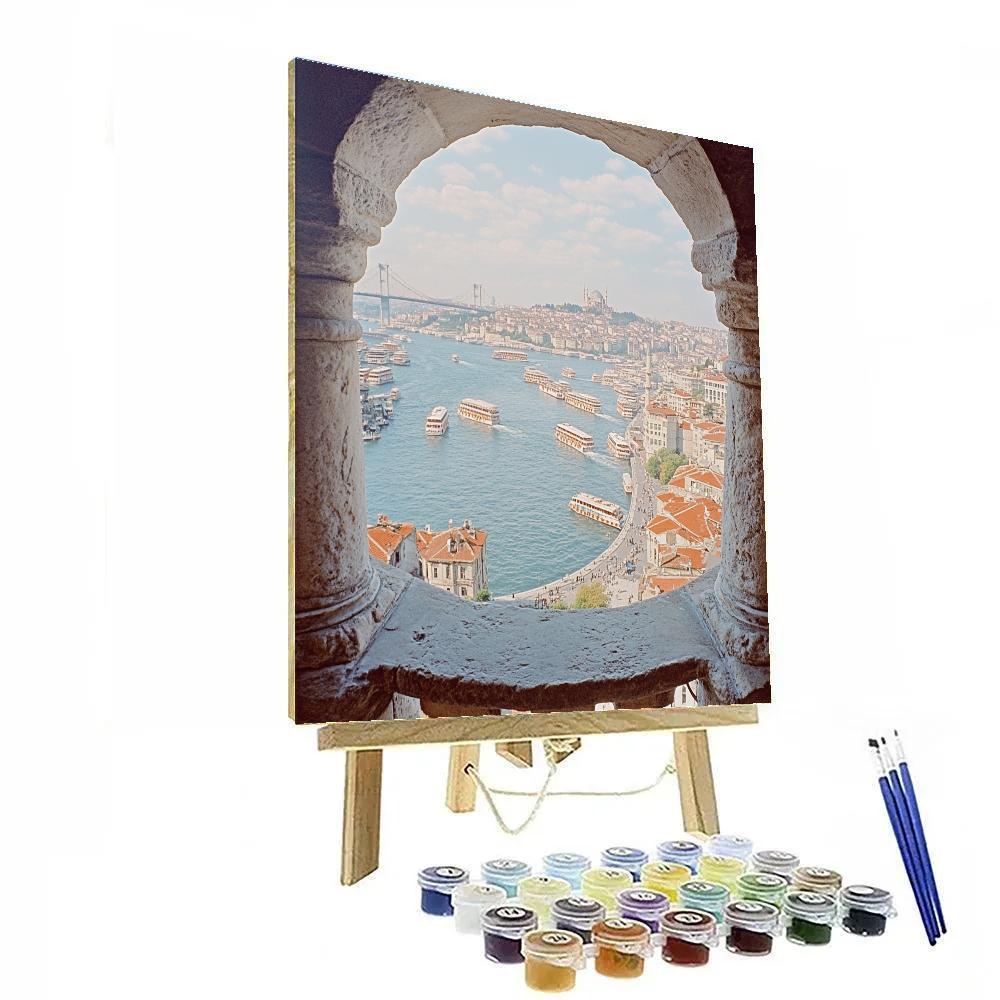 Skyline And Bosphorus From Galata Tower Istanbul Turkiye paint by color