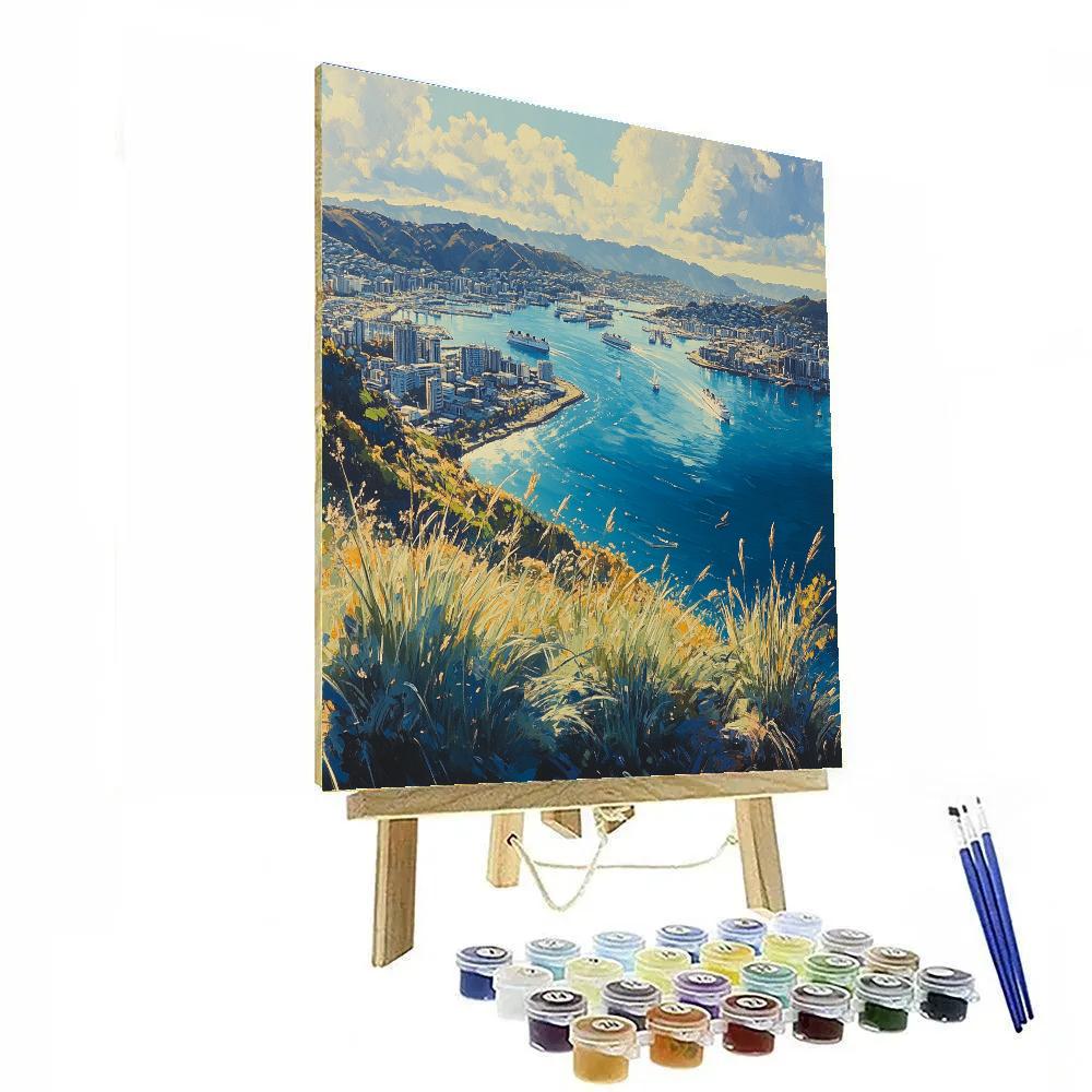 Wellington Harbor From Mount Victoria Wellington New Zealand paint by numbers