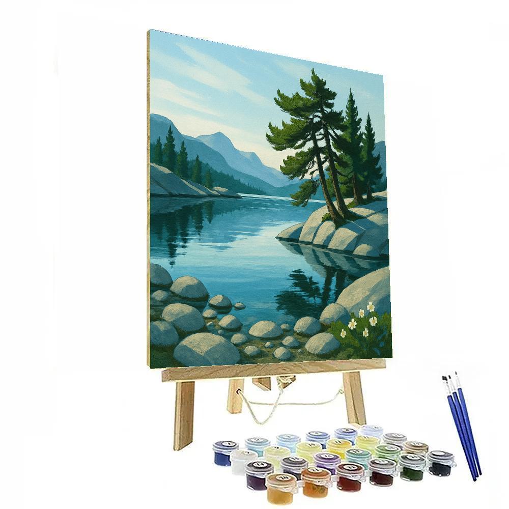 Highland Lake With Floating Pine Reflections painting number kit