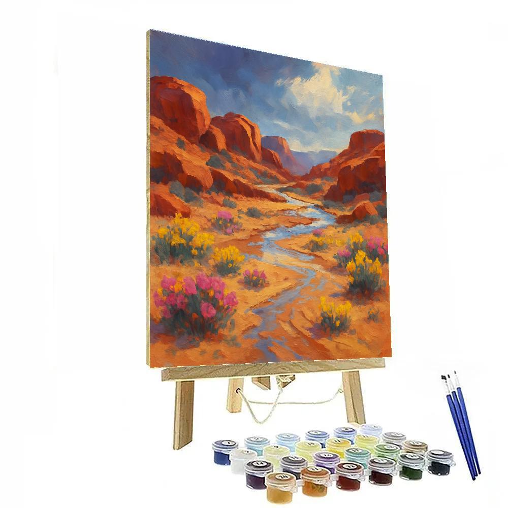 Desert Bloom Wash After Storm painting number kit