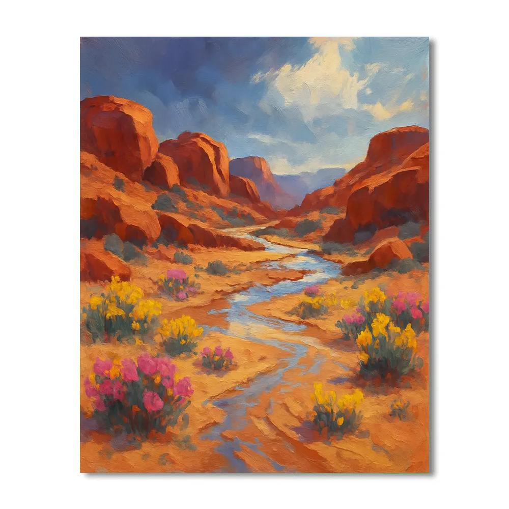 Desert Bloom Wash After Storm painting number kit