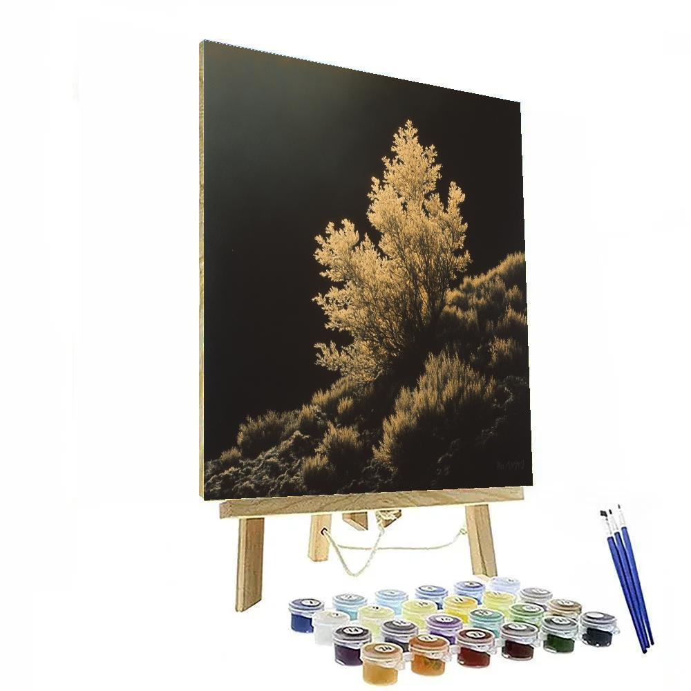 Caravaggio Inspired Auroral Reef Quiet DIY paint by numbers