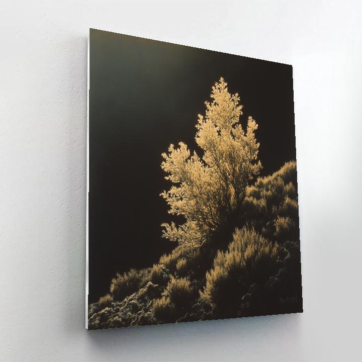 Caravaggio Inspired Auroral Reef Quiet DIY paint by numbers