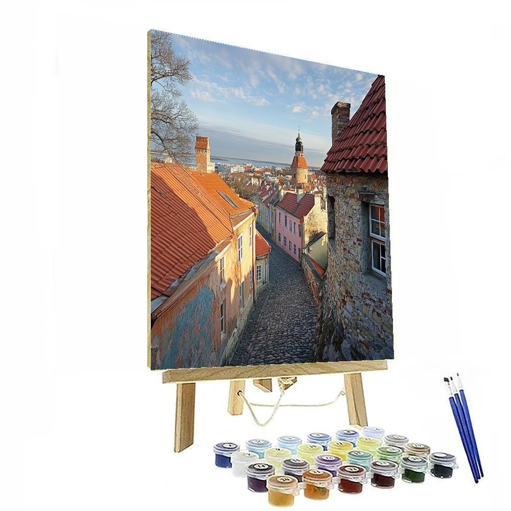 Historic Center Of Tallinn From Toompea Hill Tallinn Estonia Paint by numbers kits