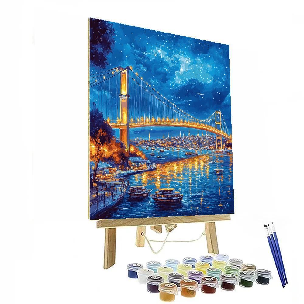 Bosphorus Bridge Night View Istanbul Turkey Numbered painting kits