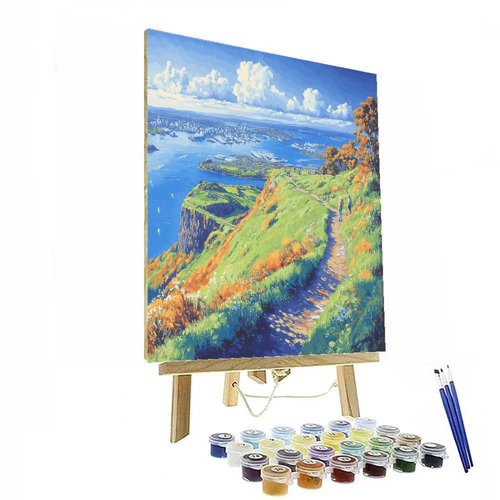 Mount Eden Summit View Auckland New Zealand Paint by numbers kits