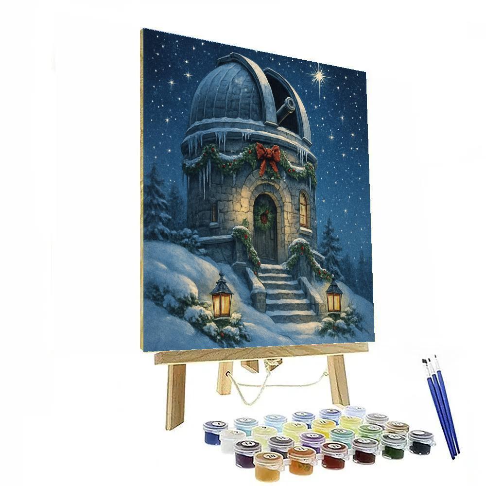 Frozen Observatory Christmas Night Numbered painting kits