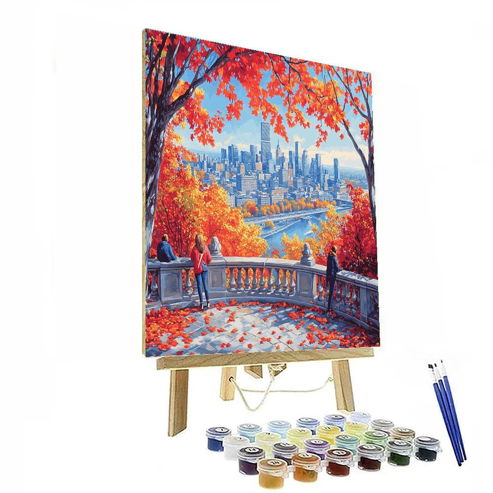 City Park Viewpoint From Mount Royal Montreal Canada DIY paint by numbers