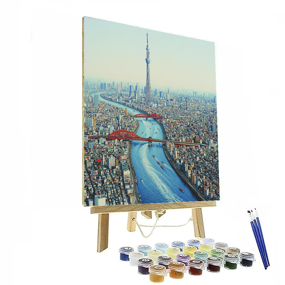 SkyTree View Over Sumida River Tokyo Japan Paint by numbers kits