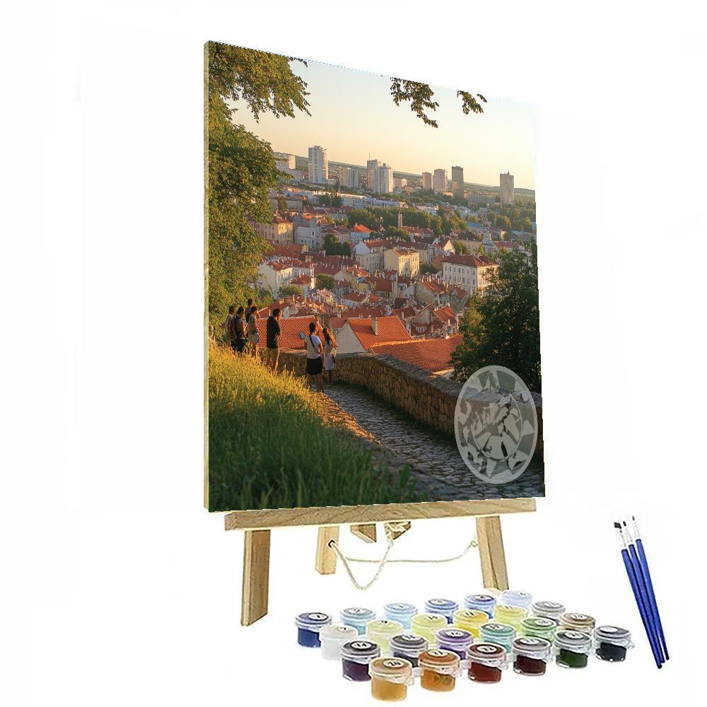 Old Town Skyline From Gediminas Hill Vilnius Lithuania paint by color