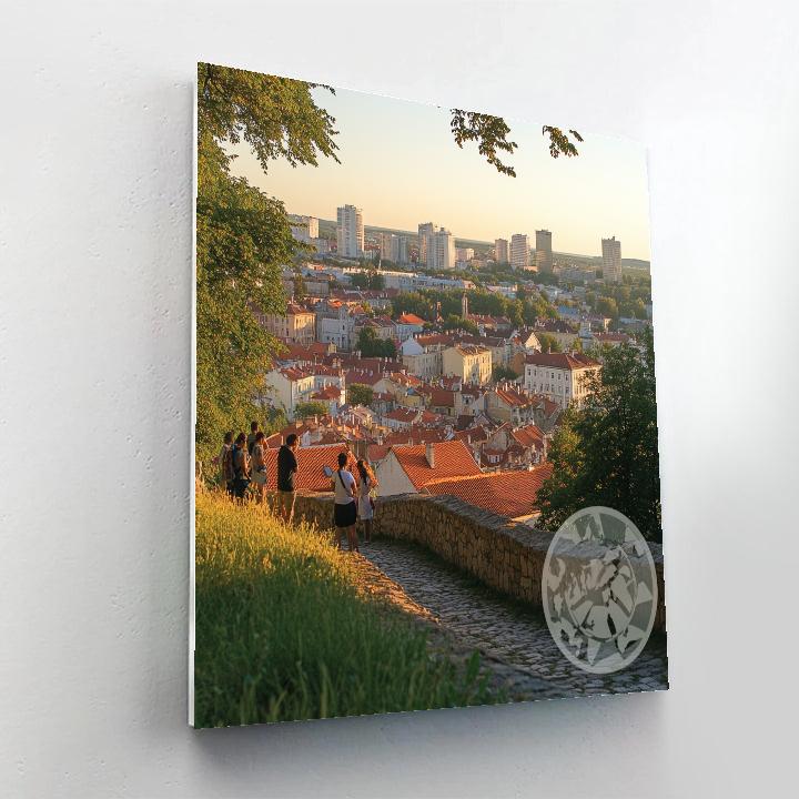 Old Town Skyline From Gediminas Hill Vilnius Lithuania paint by color
