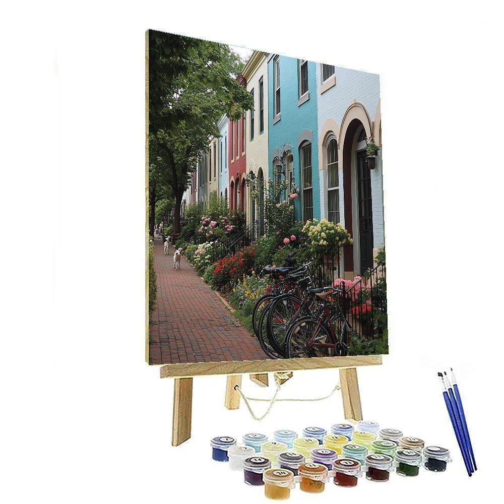 Capitol Hill Row Houses Washington United States Painting by numbers kit