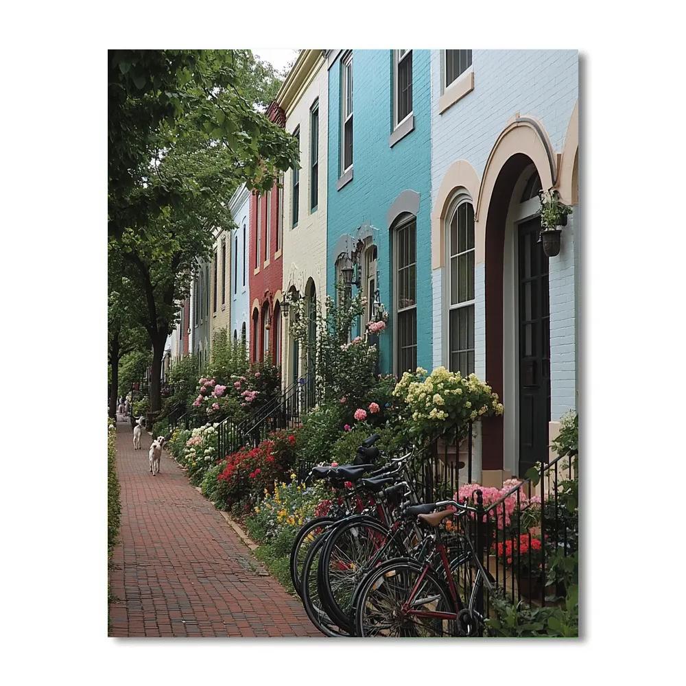 Capitol Hill Row Houses Washington United States Painting by numbers kit