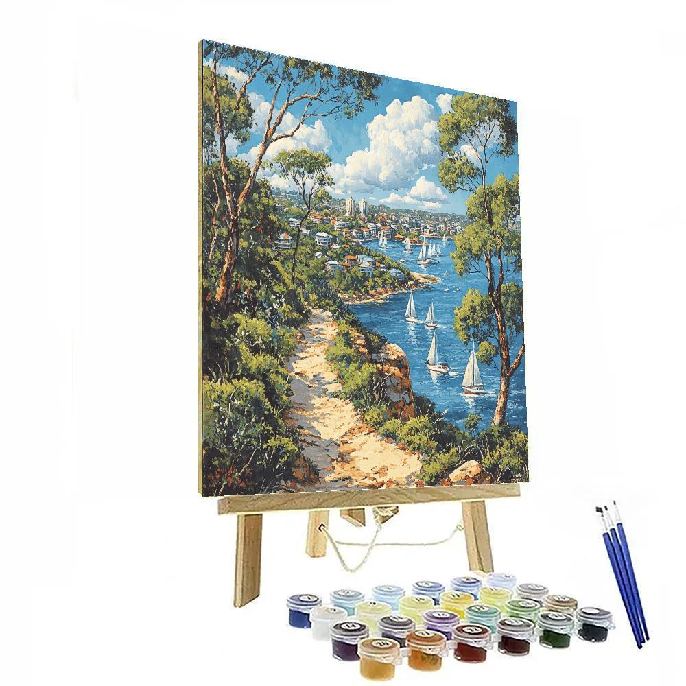 Harbour Views From The Spit To Manly Walk Sydney Australia DIY paint by numbers
